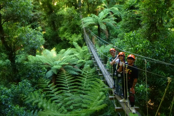 rotorua-guided-zipline-adventure-tour-with-photos-2360138